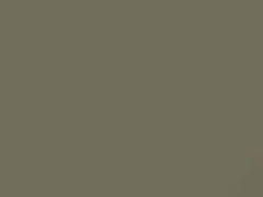 Reliable Khaki touch-up paint for Nissan, code E22, 2004