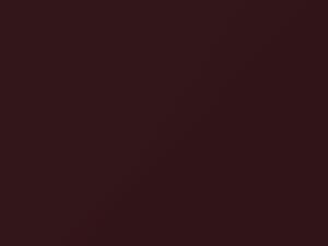 BMW Merlot Red Metallic touch up paint A02 2007 All Models