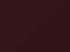 BMW Merlot Red Metallic touch up paint A02 2006 All Models