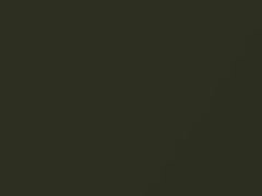Jeep Green Metallic touch-up paint for Jeep Patriot, code EGJ, PGJ, 2009