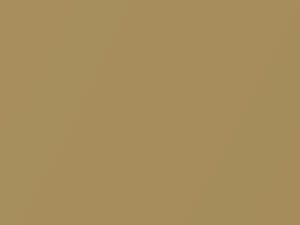 Mars Gold II Metallic touch-up paint for Suzuki, code Z7L, 2001
