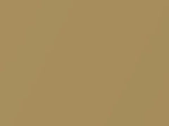 Mars Gold II Metallic touch-up paint for Suzuki, code Z7L, 2001