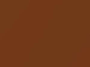 Brownish Orange Metallic touch-up paint for Infiniti, code R12, 2007