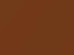 Brownish Orange Metallic touch-up paint for Nissan, code R12, 2004