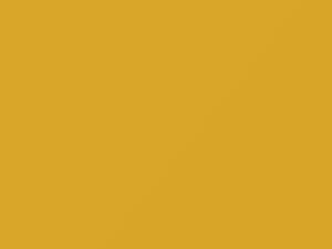 BMW Liquid Yellow touch up paint 902 2002 All Models
