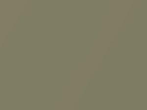 Gekko Green Pearl touch-up paint for Volvo S40R, code 488, 2010