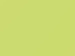 Lemongelb touch-up paint for Volkswagen Beetle, code G1N, LG1N, T8, 2000