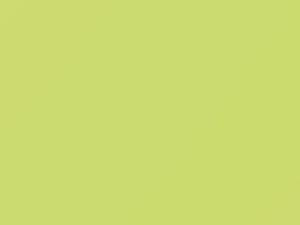 Lemongelb touch-up paint for Volkswagen Beetle, code G1N, LG1N, T8, 2000