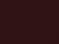 Chestnut Metallic touch-up paint for Mazda B2300, code 19X, B4, 2003