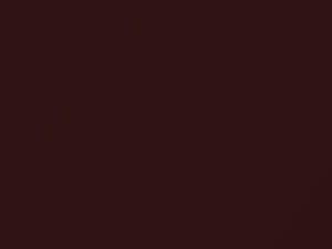 Chestnut Metallic touch-up paint for Mazda B2300, code 19X, B4, 2003