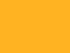 Solar Yellow Pearl touch-up paint for Lotus, code B114, 2007