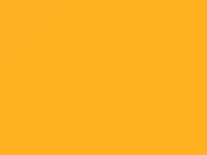 Solar Yellow Pearl touch-up paint for Lotus, code B114, 2007