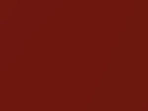 Bright Amber Pearl Metallic touch-up paint for Ford Windstar, code 6811, BG + alternatives, 1997