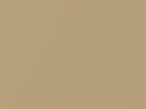 Topaz Gold Metallic touch-up paint for Isuzu D-Max, code 501, U723P901-0, 2007
