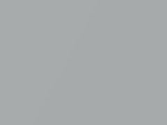 Prowler Silver Metallic touch-up paint for Chrysler, code AY96YSA, PSA, 2002