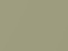 Olive Mist Metallic touch-up paint for Scion, code 6U4, 2006