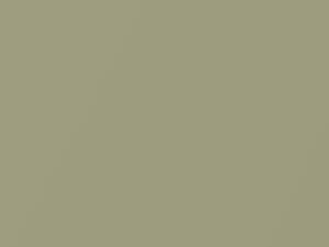 Olive Mist Metallic touch-up paint for Scion, code 6U4, 2006