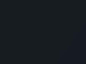 BMW Opal Black Metallic touch up paint S12 2003 All Models