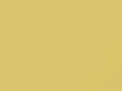 Light Yellow touch-up paint for Toyota, code 597, 2004