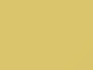 Light Yellow touch-up paint for Toyota, code 597, 2004