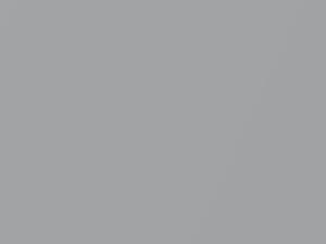 Bright Silver Metallic touch-up paint for Isuzu Rodeo Sport, code 835, N818, N818P901-0, 2001