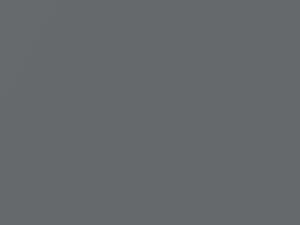 Pewter Metallic touch-up paint for Toyota, code 196, 6S3, 2004