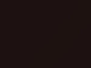Maroon Mica touch-up paint for Toyota, code 3N0, 1998