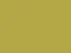 Yellow touch-up paint for Toyota, code 5A2, 2006