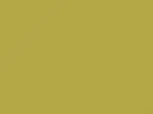 Yellow touch-up paint for Toyota, code 5A2, 2004