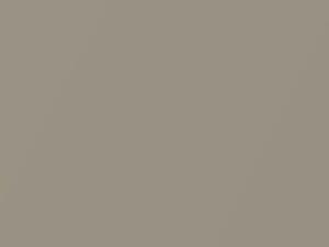 Light Sandrift Metallic touch-up paint for Pontiac Sunfire, code 312C, 49, WA312C, 2001