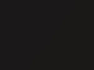 Mercedes-Benz Sl Class Designo Mocha Black Metallic touch up paint 0033 2015 ClassSl