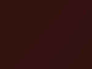 Mahogany Pearl touch-up paint for Infiniti QX4, code CP2, 1999
