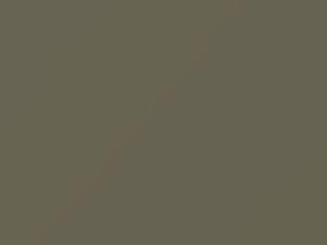 Warm Gray touch-up paint for Subaru, code 88N, 2011