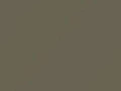 Warm Gray touch-up paint for Subaru, code 88N, 2011