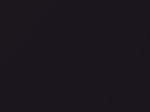 Audi A6 Avant Veneziaviolett Pearl touch up paint 4H 2007 AvantA6