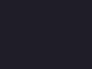 BMW 3 Series Techno Violet Metallic touch up paint 299 2004 3-SERIES