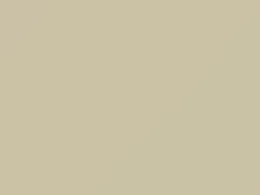White touch-up paint for Ford Bronco I, code 6210, 9M, M6210A, YY, 1991