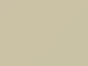 White touch-up paint for Ford, code 6210, 9M, M6210A, YY, 1989