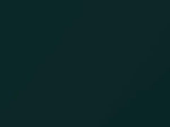 BMW 5 Series Bostongruen Metallic touch up paint 275 1995 5-SERIES