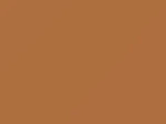Orange touch-up paint for Nissan, code A18, 2003