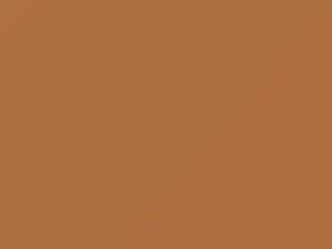Orange touch-up paint for Nissan, code A18, 2003