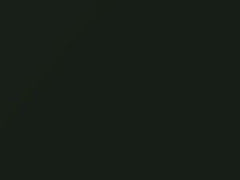 Dark Olive Pearl touch-up paint for Volvo, code 421, 2002