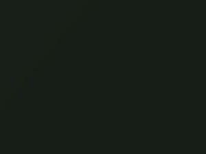 Dark Olive Pearl touch-up paint for Volvo, code 421, 2002