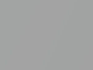 Starlight Silver Metallic touch-up paint for Smart, code C80L, 2003