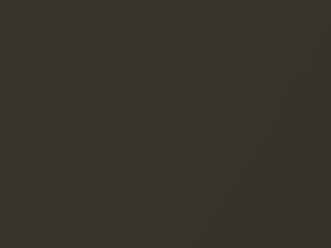 Anthracite Metallic touch-up paint for Toyota, code 1A1, 1997