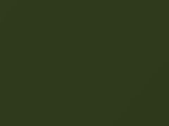 Green touch-up paint for Toyota, code 6R7, 2007