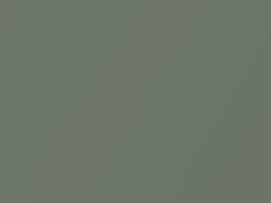 Flash Green Pearl touch-up paint for Nissan, code J40, 2007