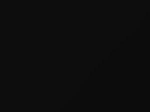 Deep Black touch-up paint for Smart Forfour, code C95L, 2005
