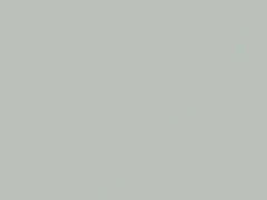 Bianco Freddo touch-up paint for Alfa Romeo, code 210, 2000