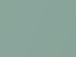 Space Green Metallic touch-up paint for Nissan, code D95, 2002